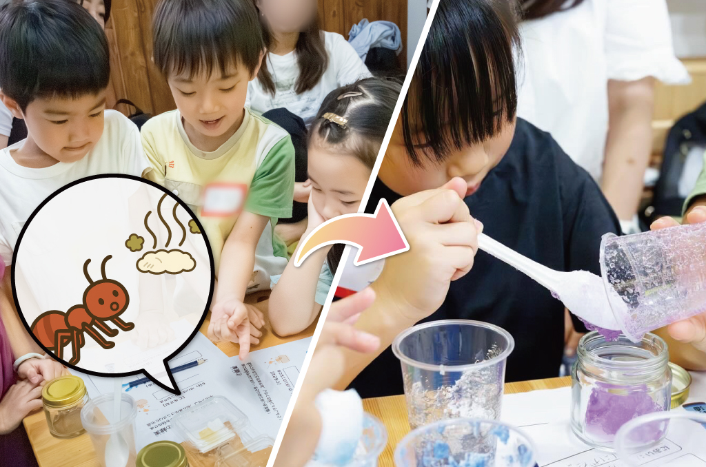 バイオサイエンス・実験