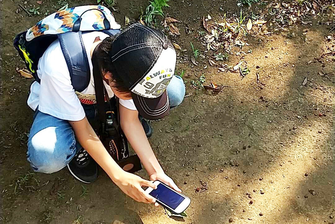 屋外で土や植物を観察し、スマートフォンで記録する小学生の様子。STEAM教育の一環として、理科の探究活動とICT活用を組み合わせた実践場面。