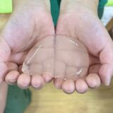 不思議な「掴める水」の作り方！作って終わらない、未来の活用アイデアを考えるSTEAM教育